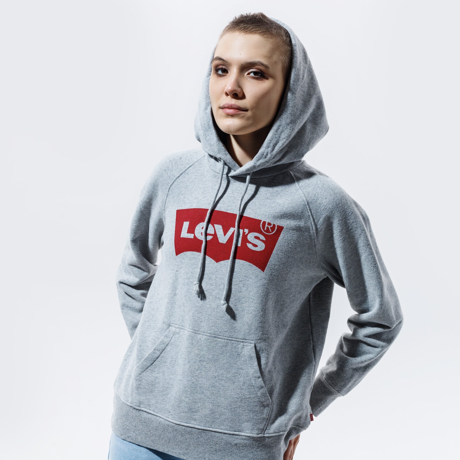 Damen LEVI'S HOODIE GRAPHIC SPORT HOODIE 35946-0003 Grau