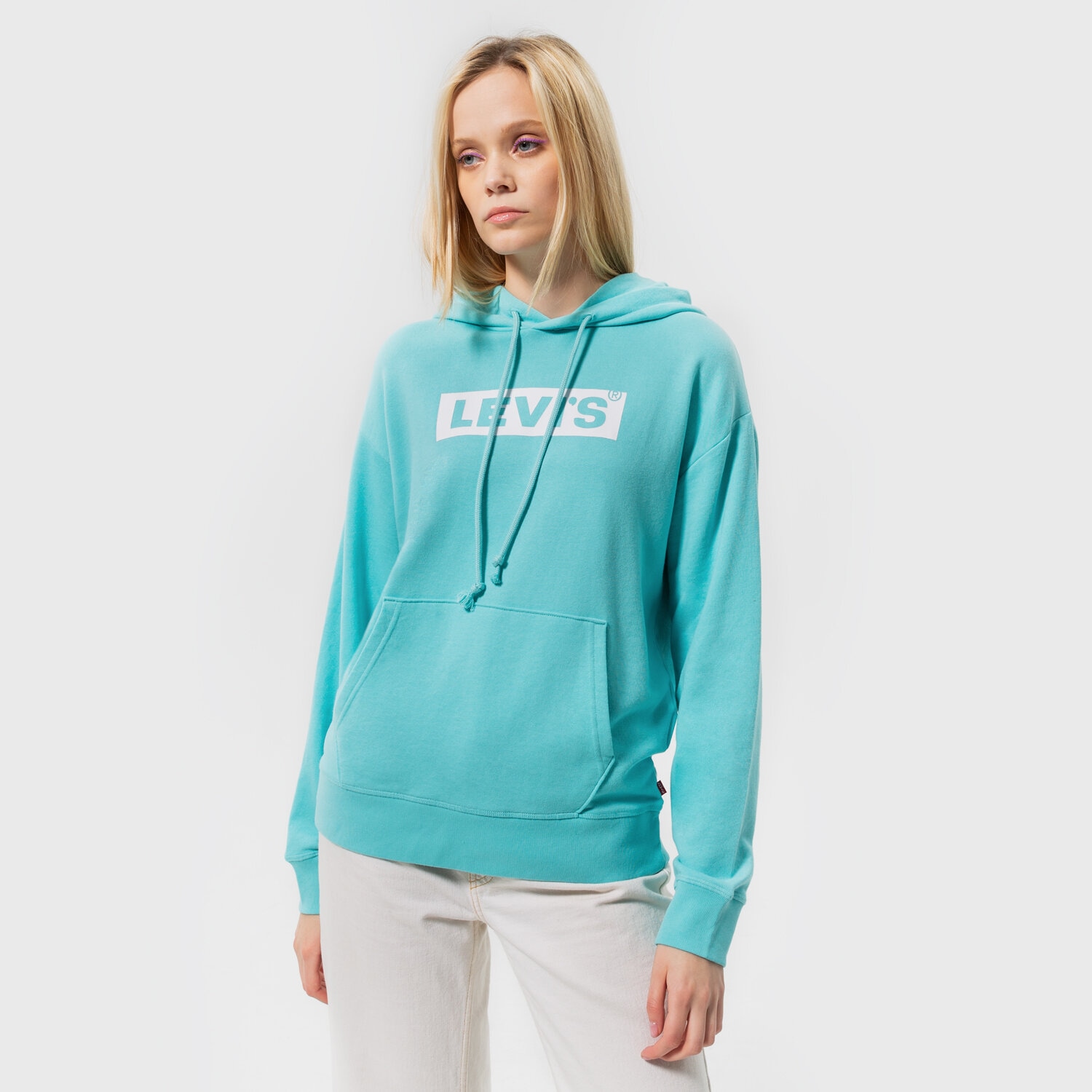 Damen LEVI'S HOODIE GRAPHIC STANDARD HOODIE 18487-0136 Blau
