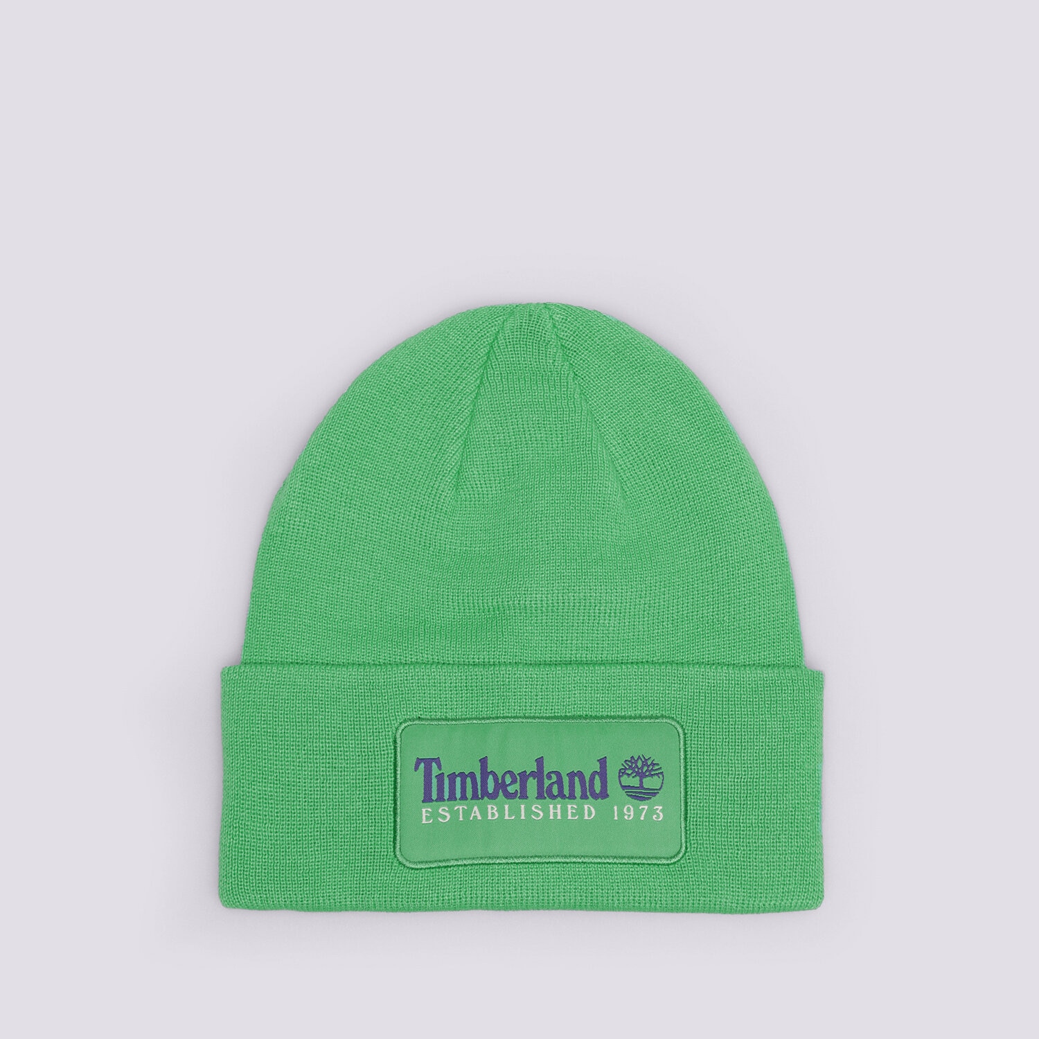 Kinder Mütze TIMBERLAND MÜTZE ESTABLISHED 1973 TB0A2PTDH311 Grün