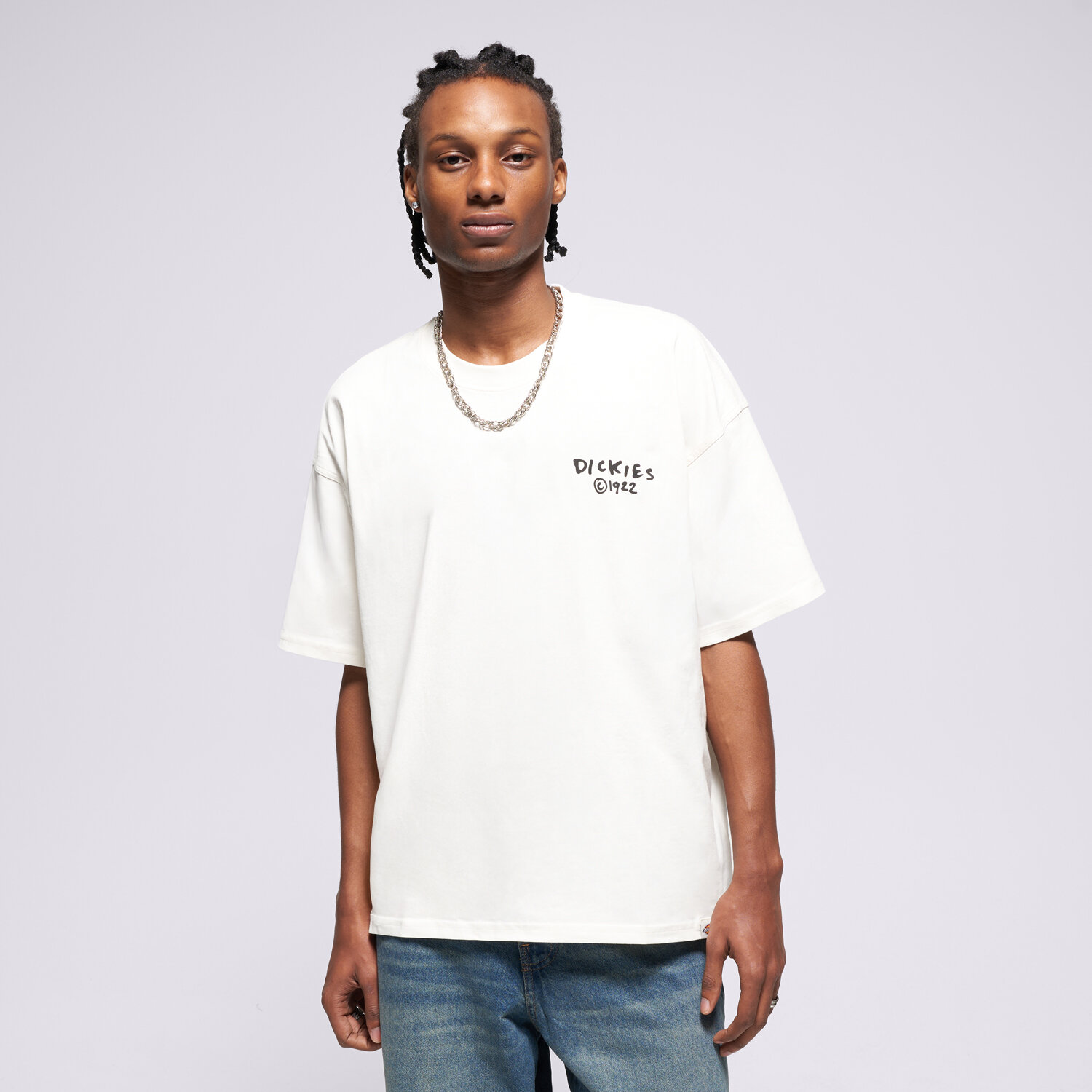 Herren T-Shirt DICKIES T-SHIRT SNEEDVILLE TEE SS DK0A87QOC481 Beige