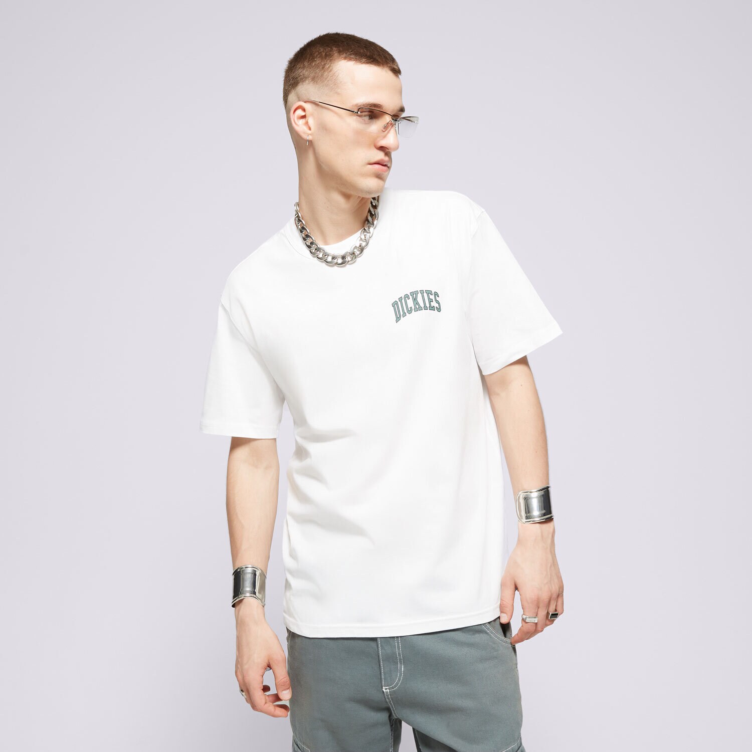 Herren T-Shirt DICKIES T-SHIRT AITKIN CHEST TEE SS DK0A4Y8OJ401 Weiß