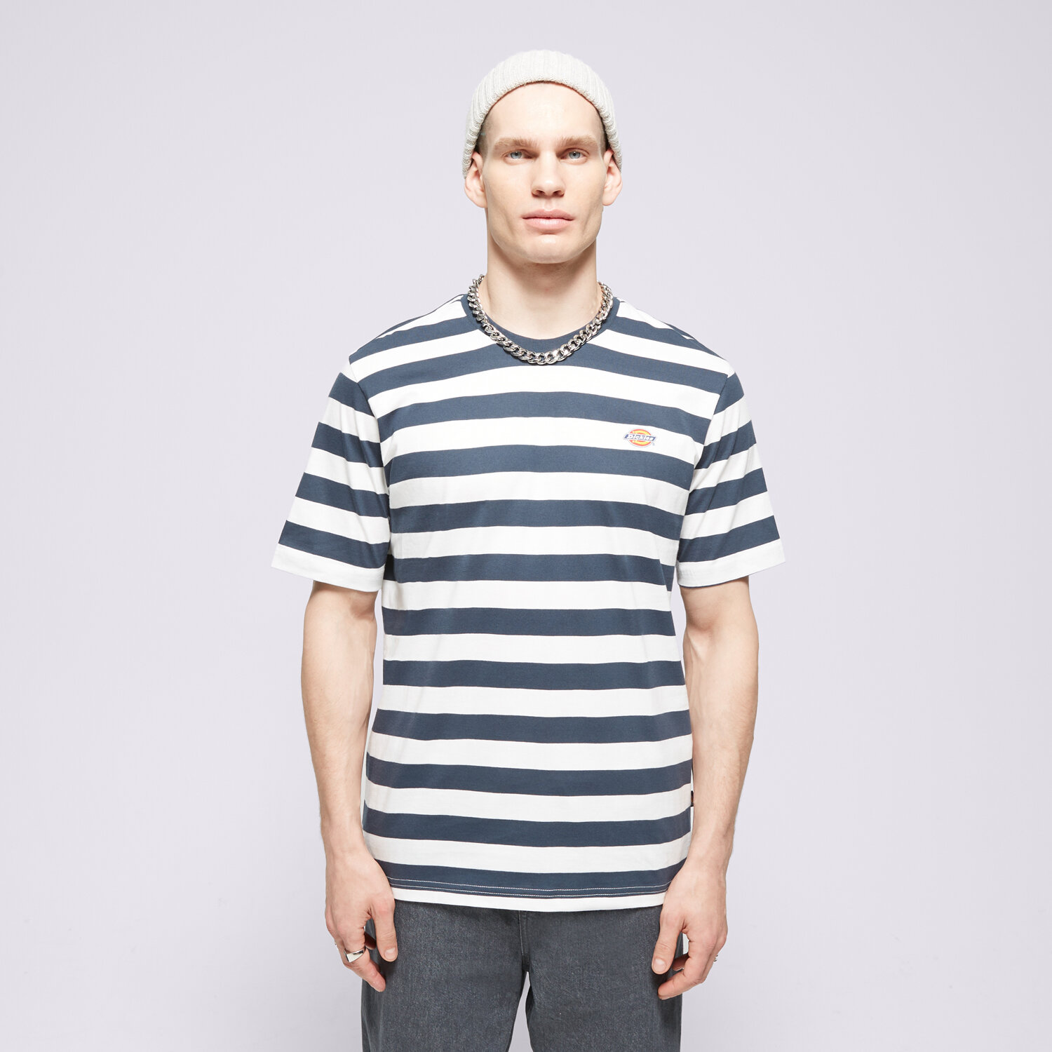 Herren T-Shirt DICKIES T-SHIRT RIVERGROVE DK0A4Y8YAF01 Dunkelblau