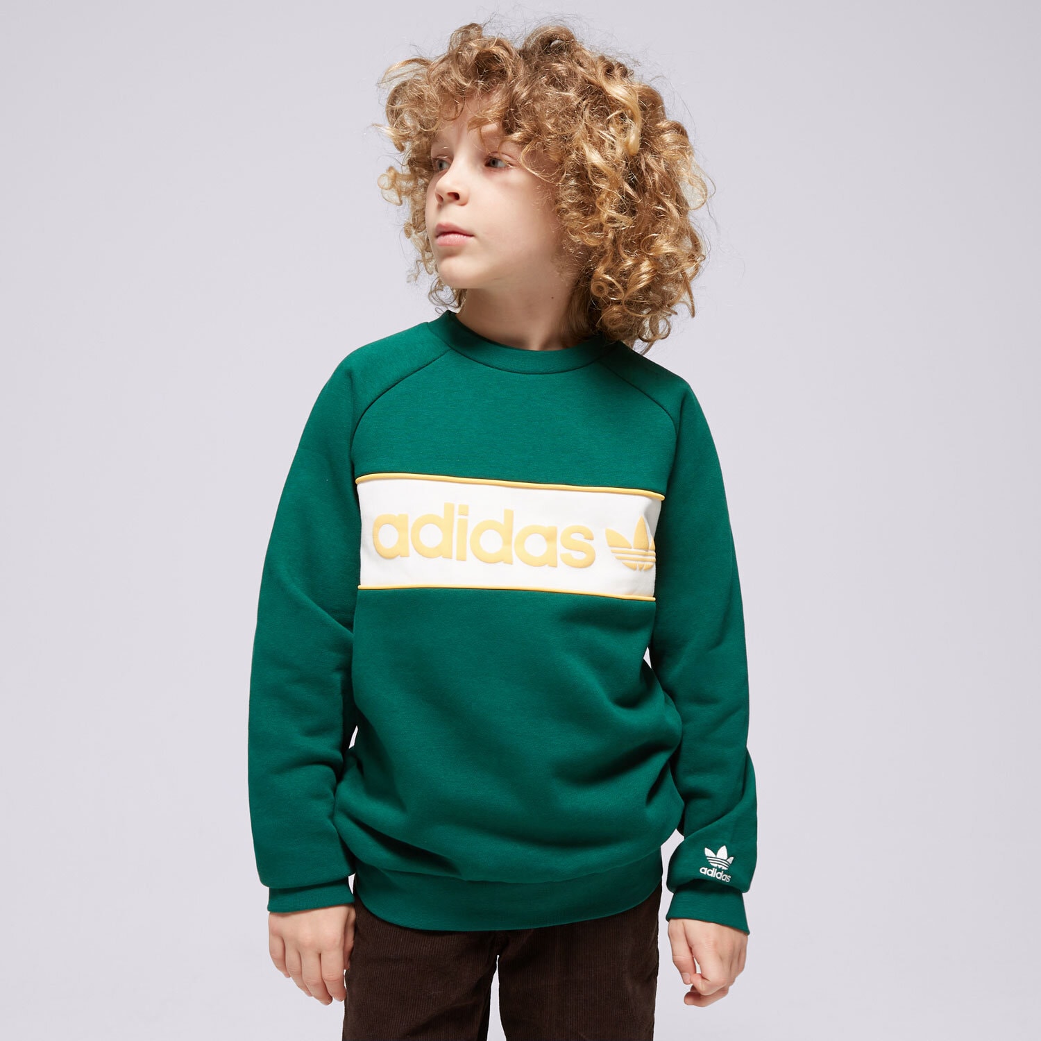 Kinder ADIDAS SWEATSHIRT CREW BOY IP2649 Grün