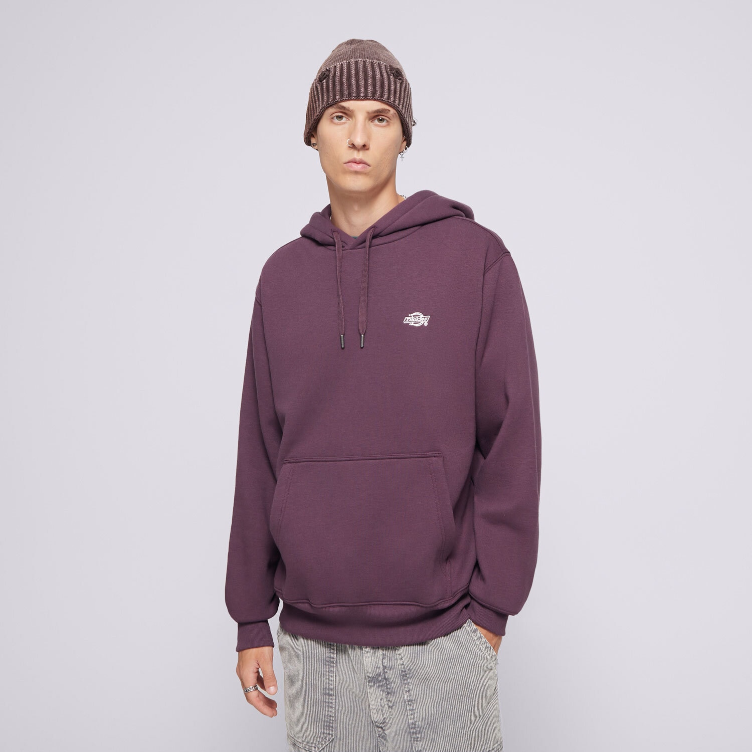 Herren DICKIES HOODIE SUMMERDALE HOODIE DK0A4Y6PJ561 Violet