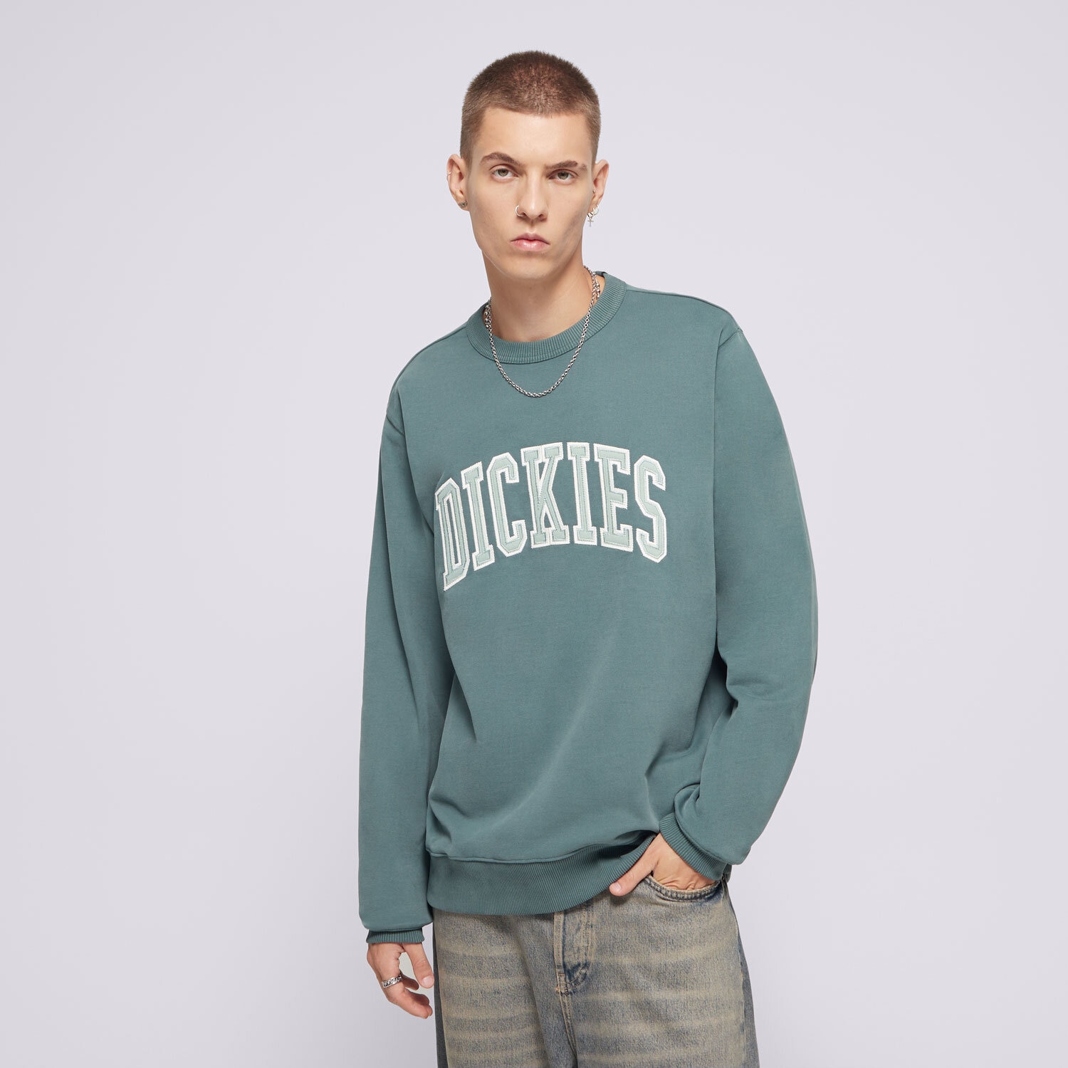 Herren DICKIES SWEATSHIRT AITKIN SWEATSHIRT DK0A4XABJ951 Grün