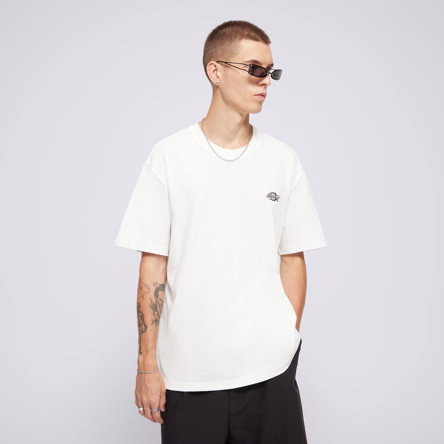 Herren T-Shirt DICKIES T-SHIRT SUMMERDALE SS TEE DK0A4YAIWHX1 Weiß