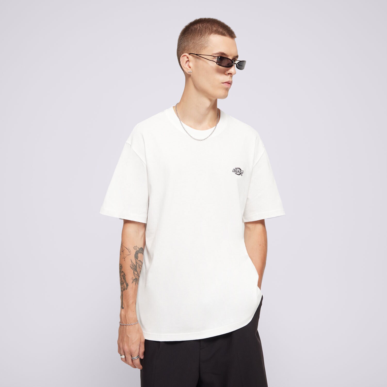 Herren T-Shirt DICKIES T-SHIRT SUMMERDALE SS TEE DK0A4YAIWHX1 Weiß