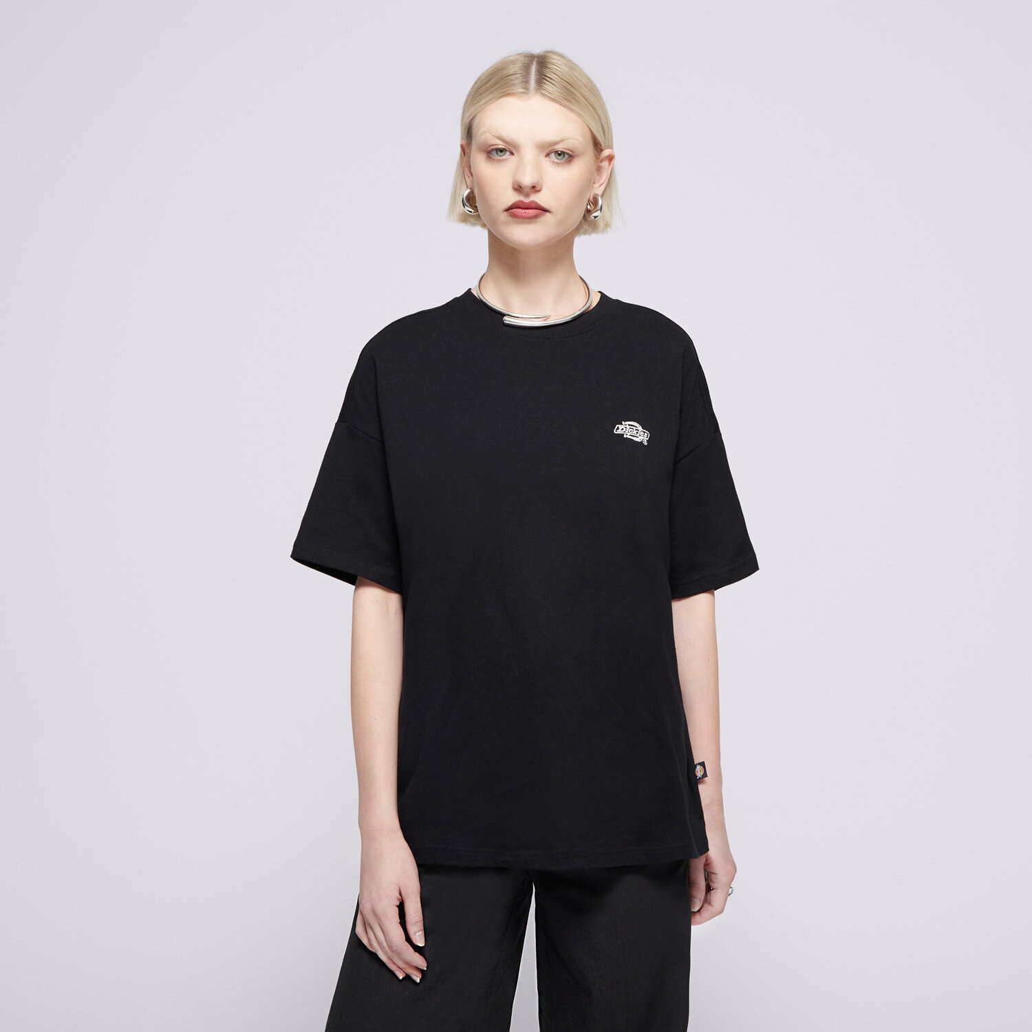 Damen T-Shirt DICKIES T-SHIRT SUMMERDALE SS TEE DK0A4Y1BBLK1 Schwarz