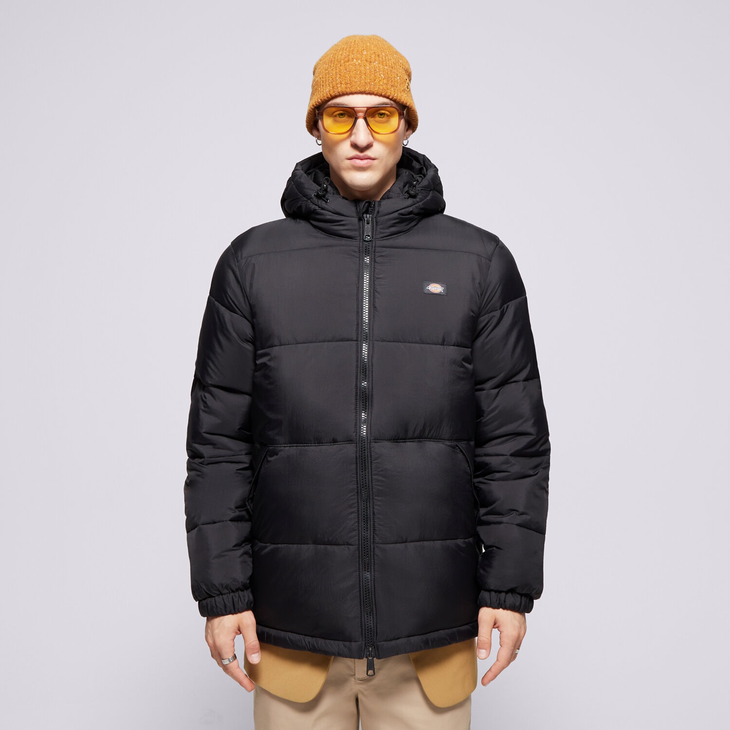Herren Winterjacke DICKIES JACKE WINTER WALDENBURG HOODED JACKET DK0A4YEYBLK1 Violet