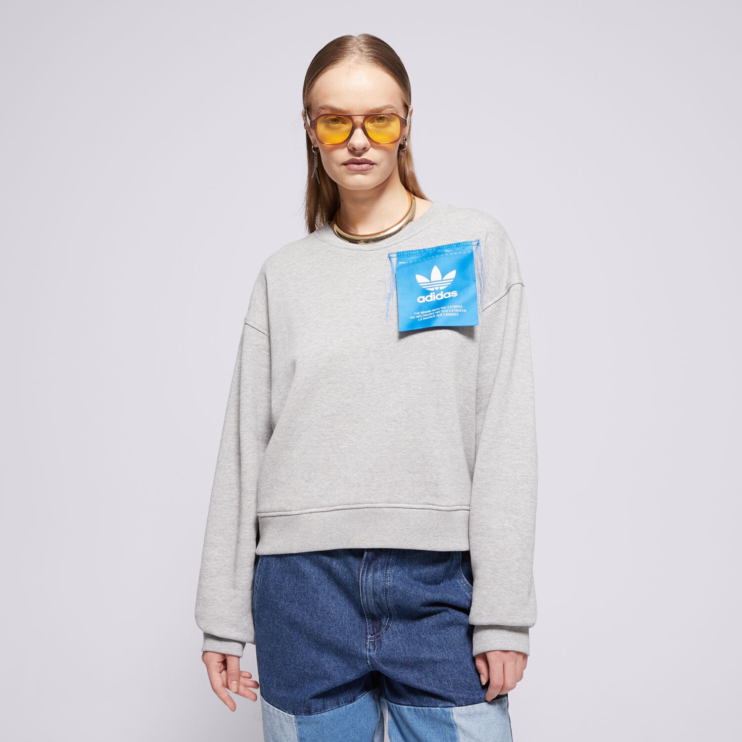 Damen ADIDAS SWEATSHIRT KSENIA TAG SWT IW5666 Grau
