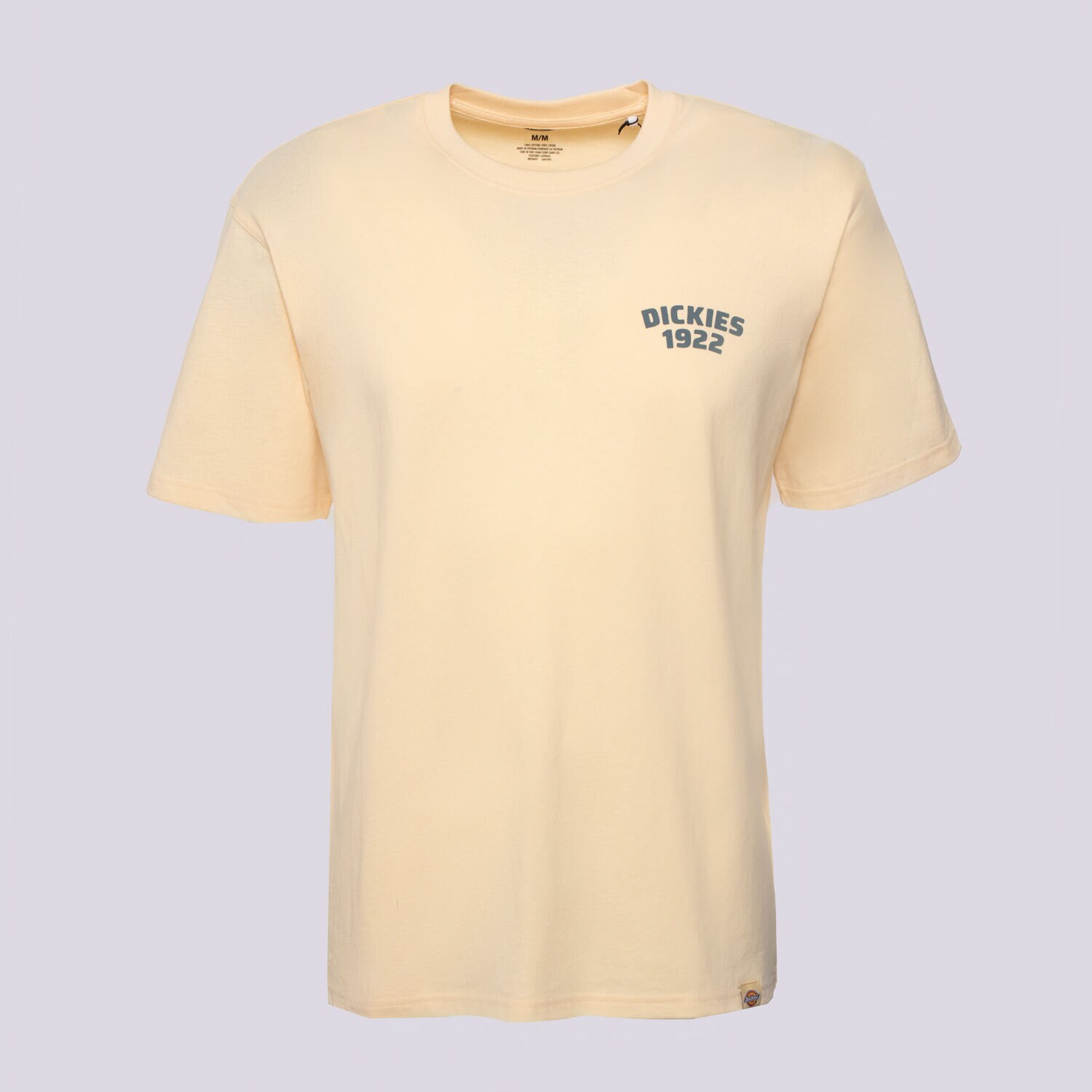 Herren T-Shirt DICKIES T-SHIRT MECHANIC SS TEE DK0A4Z96K531 Beige