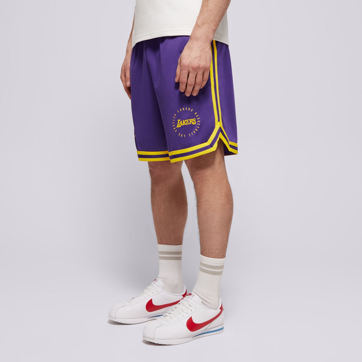 Herren Shorts NIKE SHORTS LAL MNK DF PRGM DNA 8IN SHORT FQ3211-504 Violet