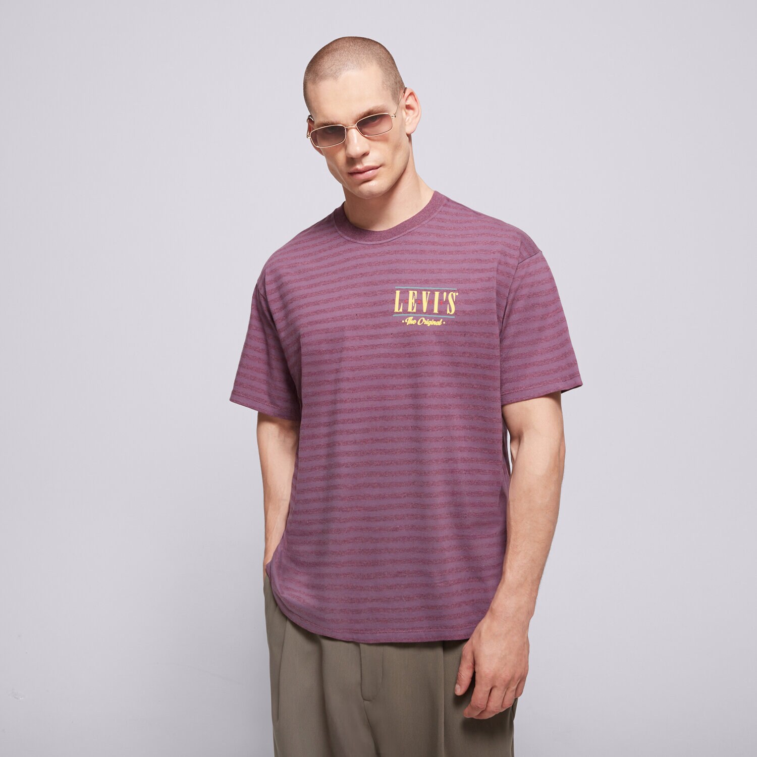 Herren T-Shirt LEVI'S T-SHIRT VINTAGE FIT GRAPHIC TEE GREYS 87373-0345 Violet