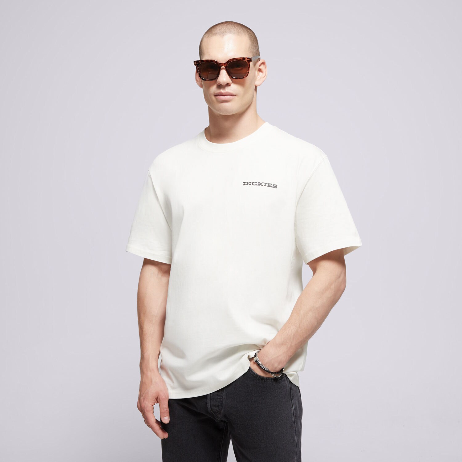 Herren T-Shirt DICKIES T-SHIRT LANDASCAPE SS TEE DK0A4Z8VC481 Weiß