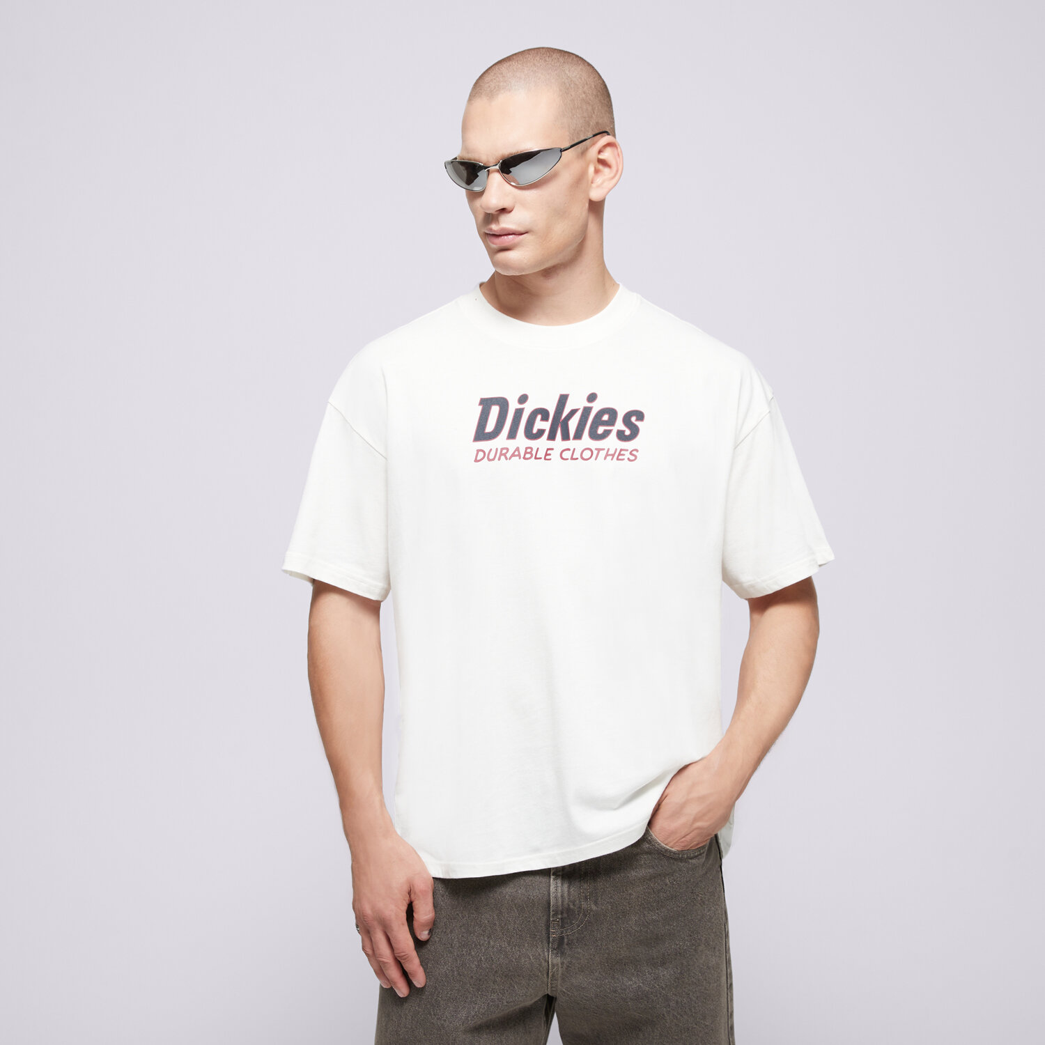 Herren T-Shirt DICKIES T-SHIRT WILLISTON TEE SS DK0A87YLC481 Beige