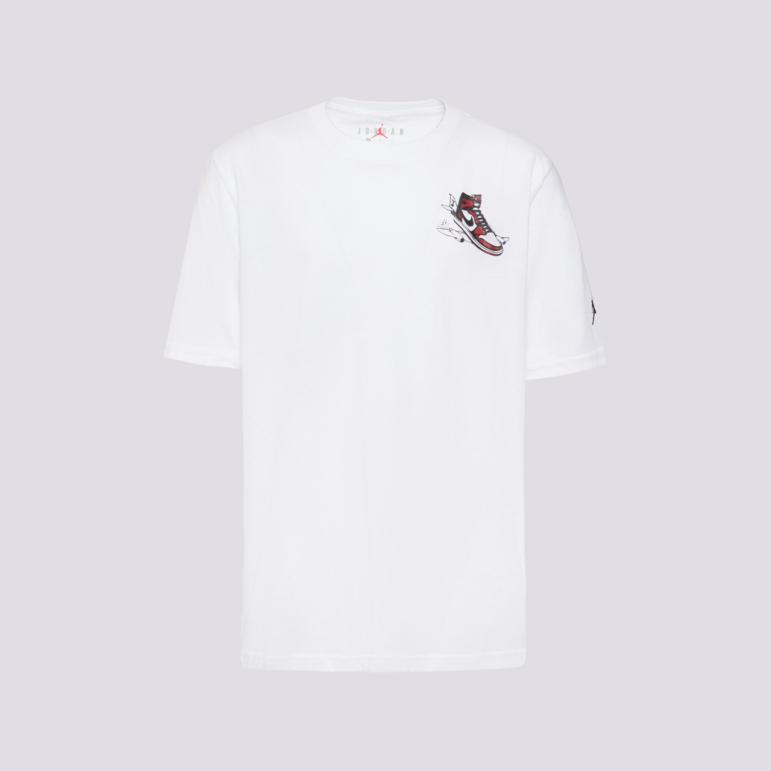 Kinder T-Shirt JORDAN T-SHIRT JDB AIR JORDAN HAS LANDED SS T BOY 95F279-001 Weiß