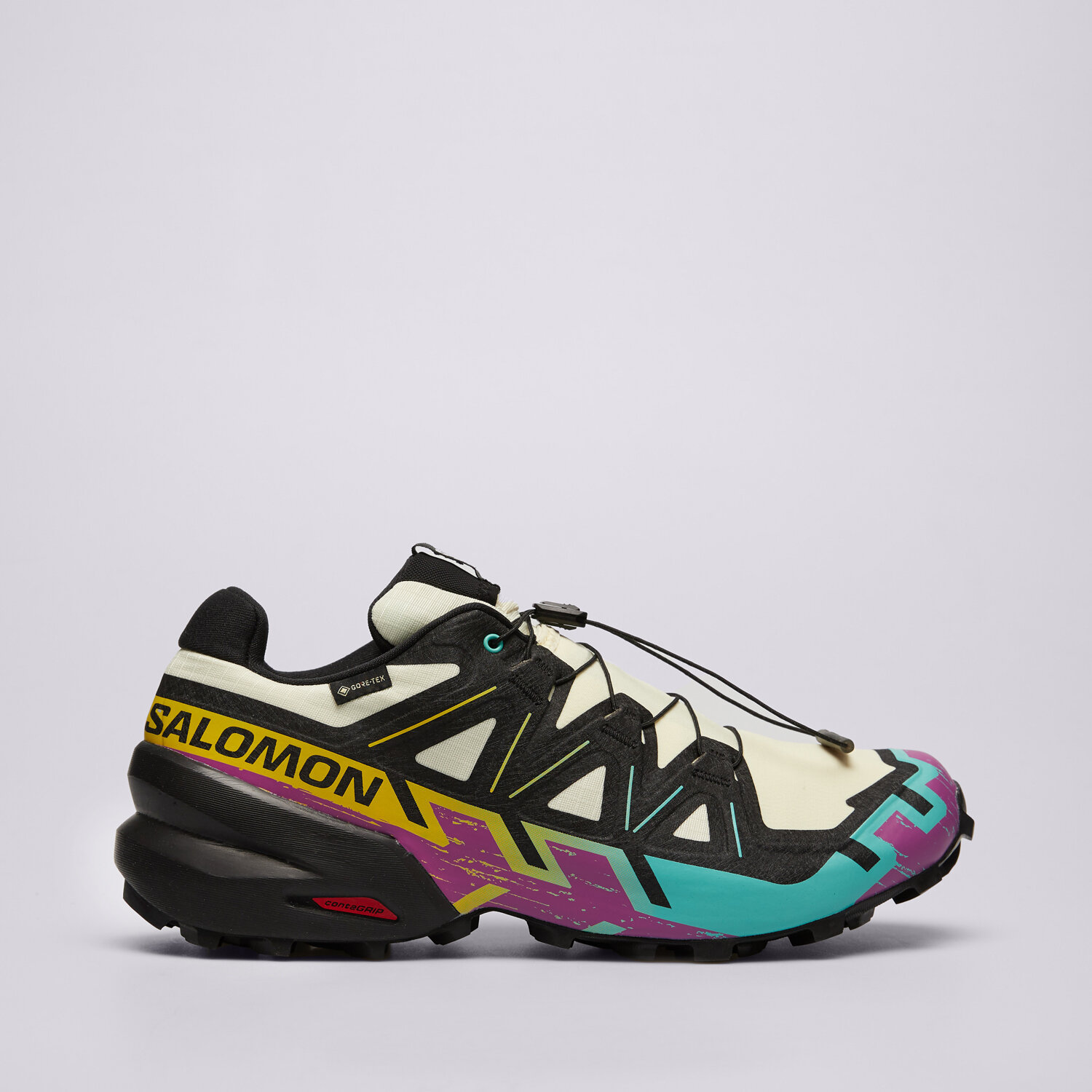 Herren Outdoor Schuhe SALOMON SPEEDCROSS 6 GTX L47879800 Schwarz