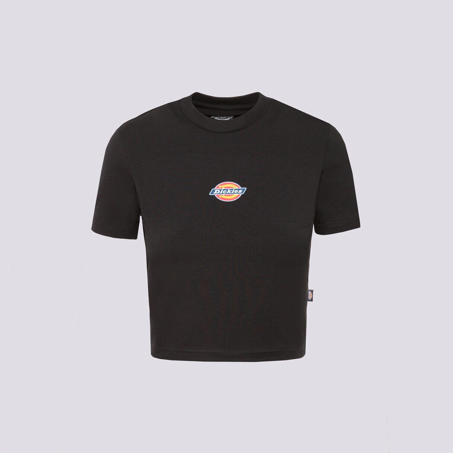 Damen T-Shirt DICKIES T-SHIRT MAPLE VALLEY TEE DK0A4XPOBLK1 Schwarz