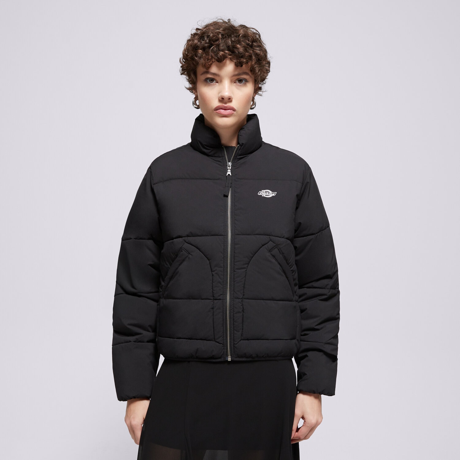 Damen Winterjacke DICKIES DAUNENJACKE DICKIES DUCK CANVAS CARPENTER PANT W DK0A87OJBLK1 Schwarz