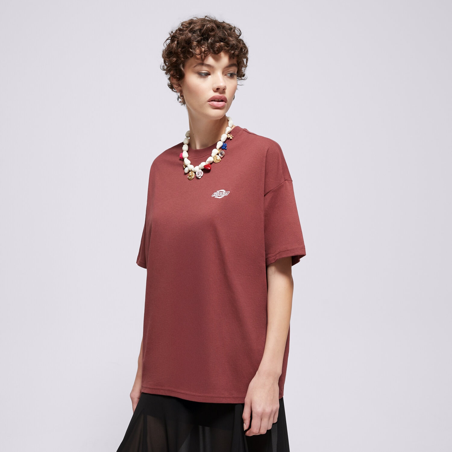 Damen T-Shirt DICKIES T-SHIRT SUMMERDALE SS TEE DK0A4Y1BL161 Braun
