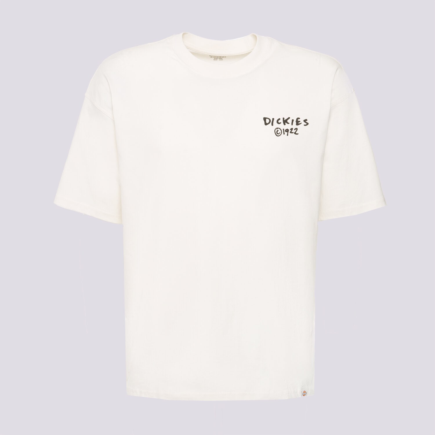 Herren T-Shirt DICKIES T-SHIRT SNEEDVILLE TEE SS DK0A87QOC481 Beige
