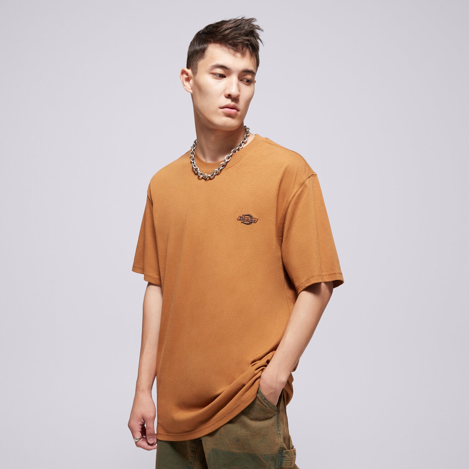 Herren T-Shirt DICKIES T-SHIRT SUMMERDALE SS TEE DK0A4YAI0BD1 Braun
