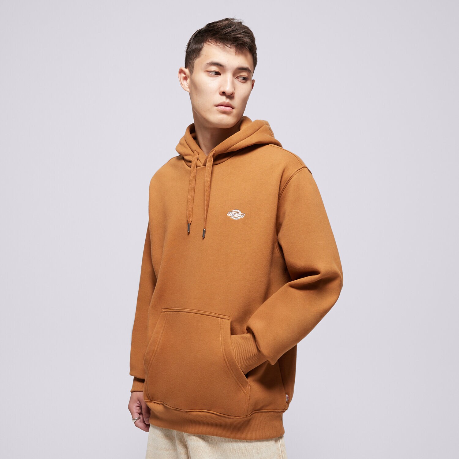 Herren DICKIES HOODIE SUMMERDALE HOODIE DK0A4Y6P0BD1 Braun