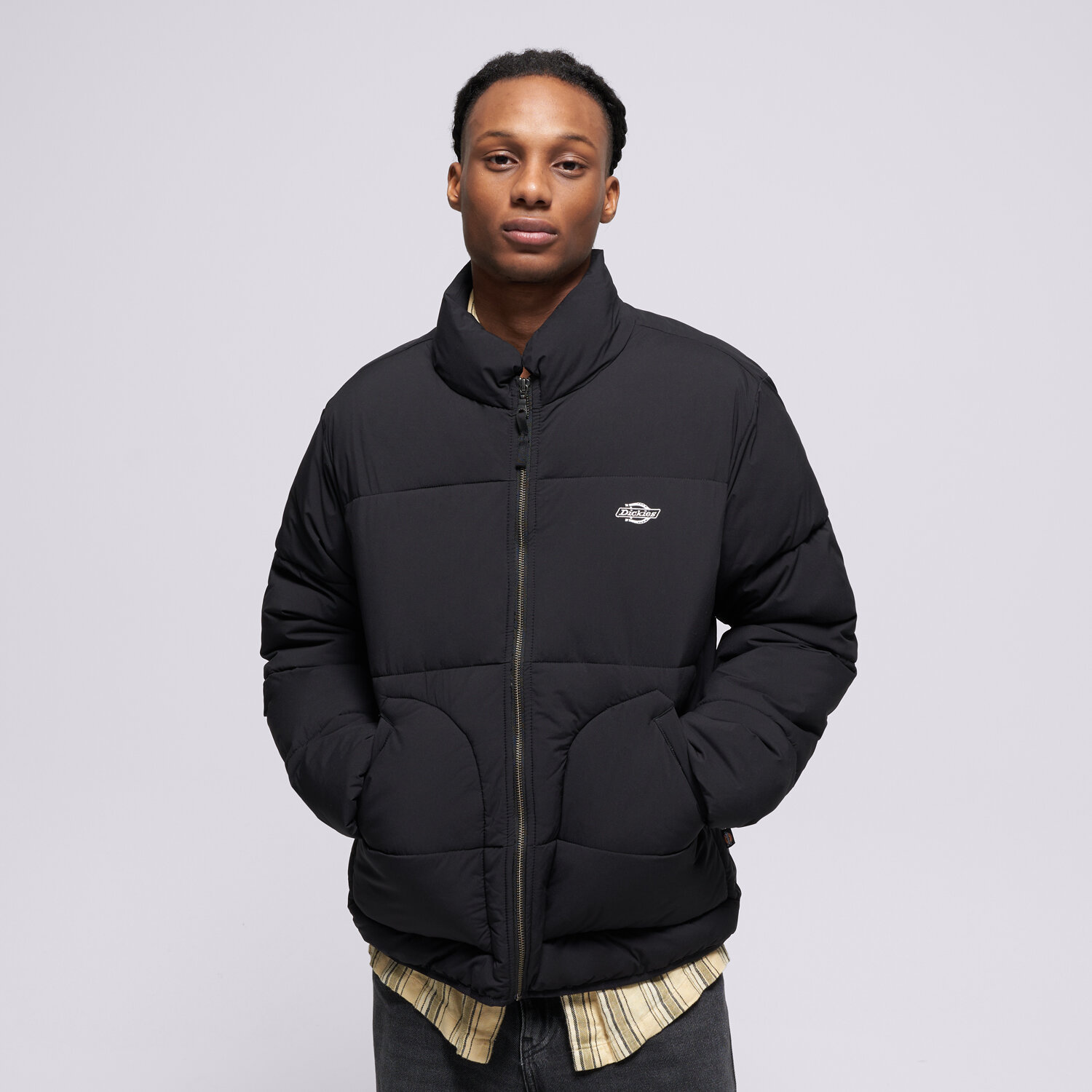 Herren Winterjacke DICKIES JACKE WINTER SUMMERDALE PUFFER DK0A87OGBLK1 Schwarz