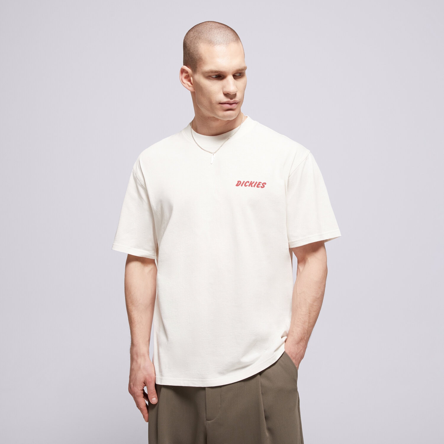 Herren T-Shirt DICKIES T-SHIRT DRY RIDGE SS TEE DK0A8853C481 Weiß