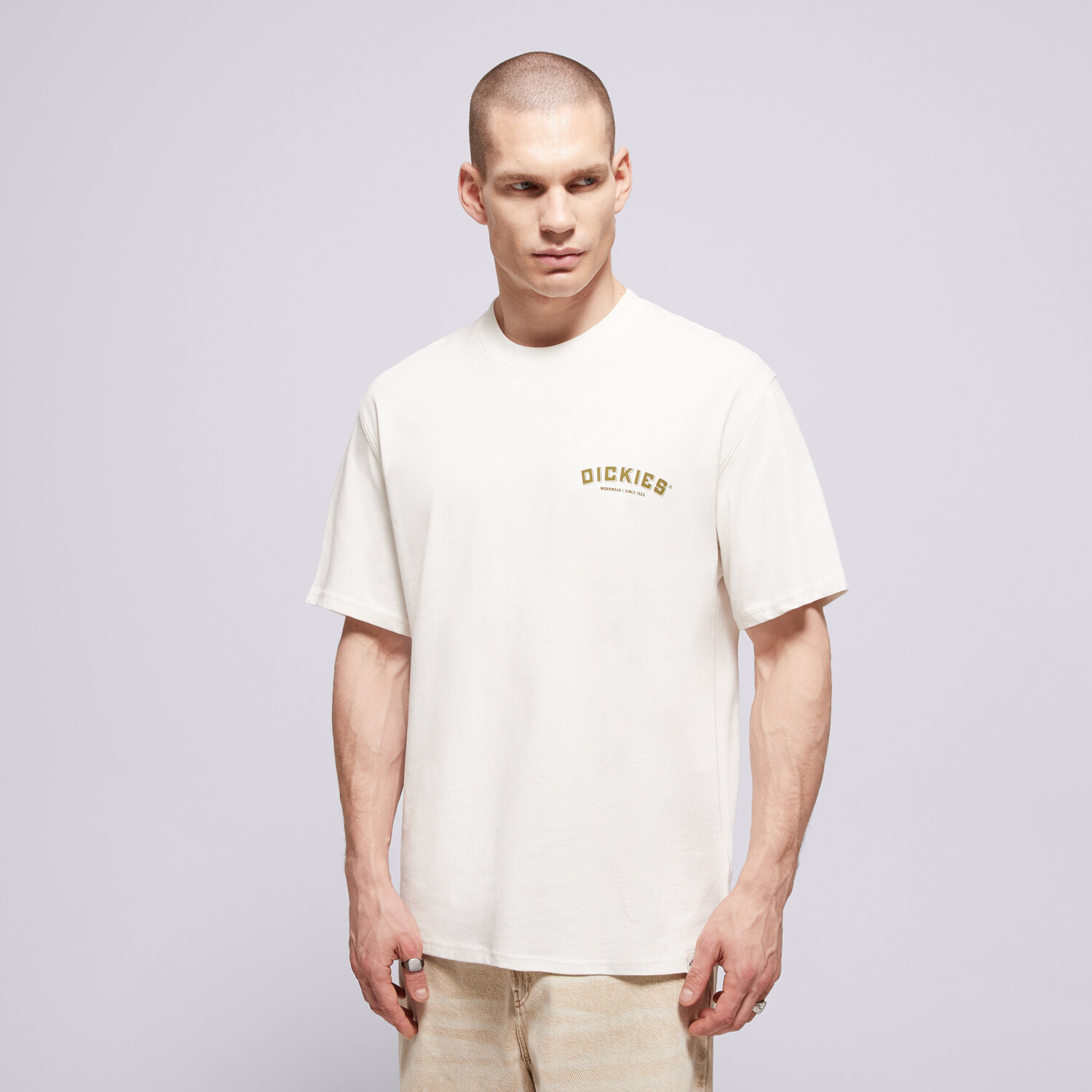 Herren T-Shirt DICKIES T-SHIRT BUILDER TEE DK0A85SYC481 Weiß