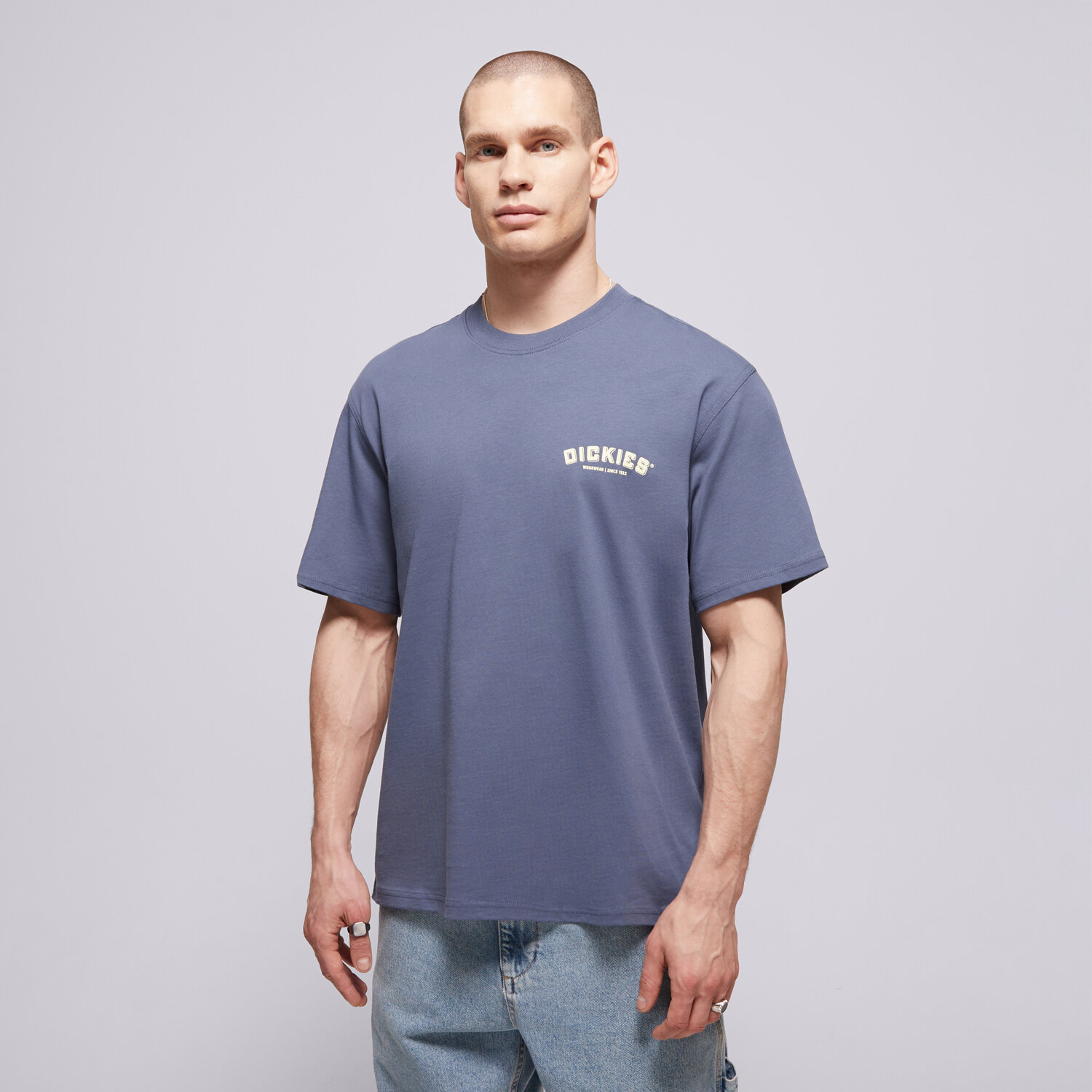Herren T-Shirt DICKIES T-SHIRT BUILDER TEE DK0A85SYRI21 Blau
