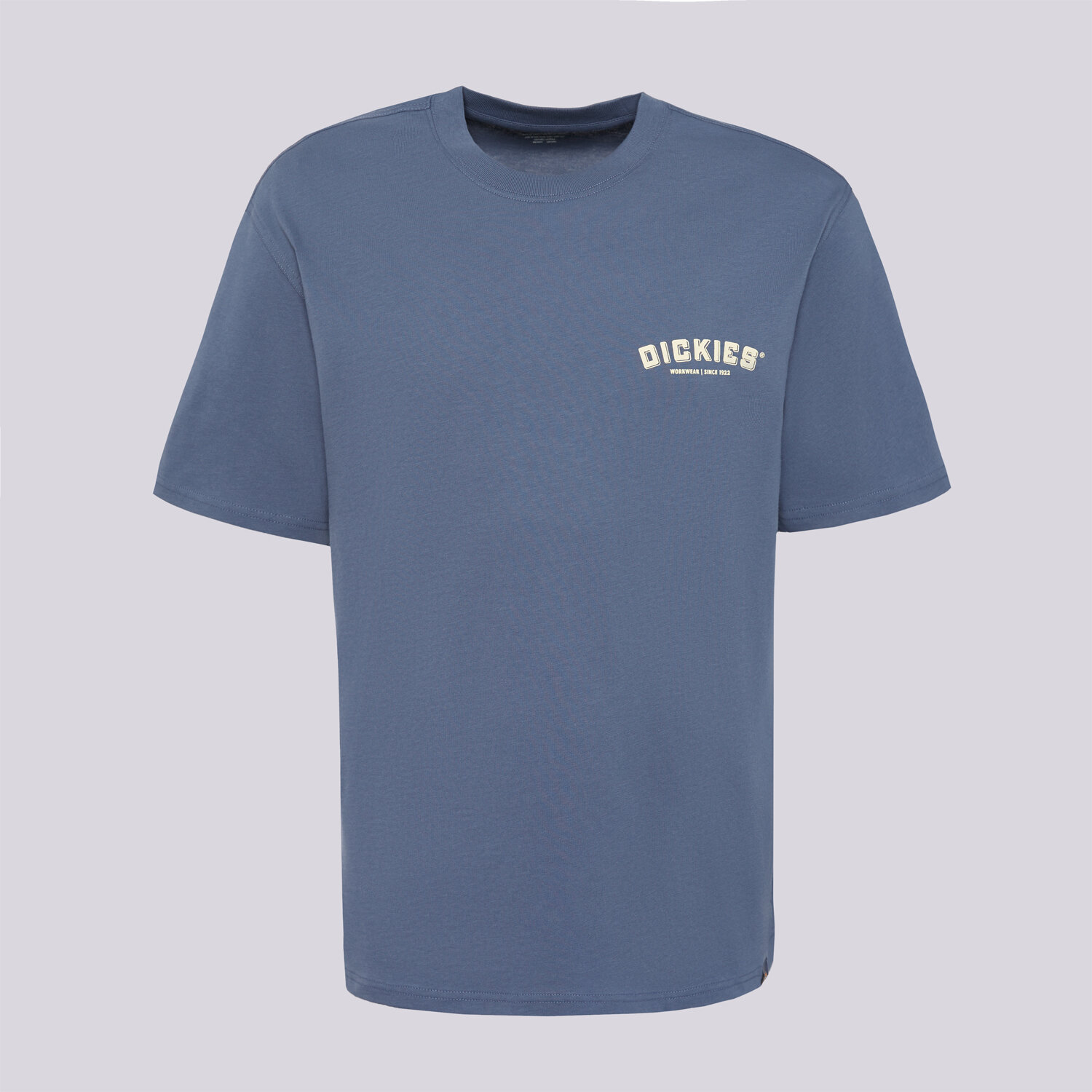 Herren T-Shirt DICKIES T-SHIRT BUILDER TEE DK0A85SYRI21 Blau