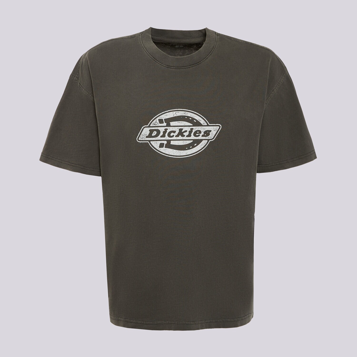Herren T-Shirt DICKIES T-SHIRT PLAINVILLE SS TEE DK0A88GNBLK1 Grau