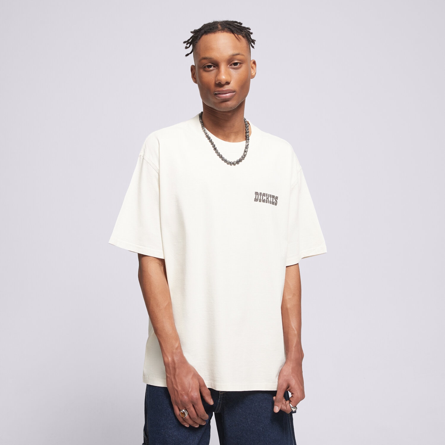 Herren T-Shirt DICKIES T-SHIRT BUCHTELL SS TEE DK0A883BC481 Weiß