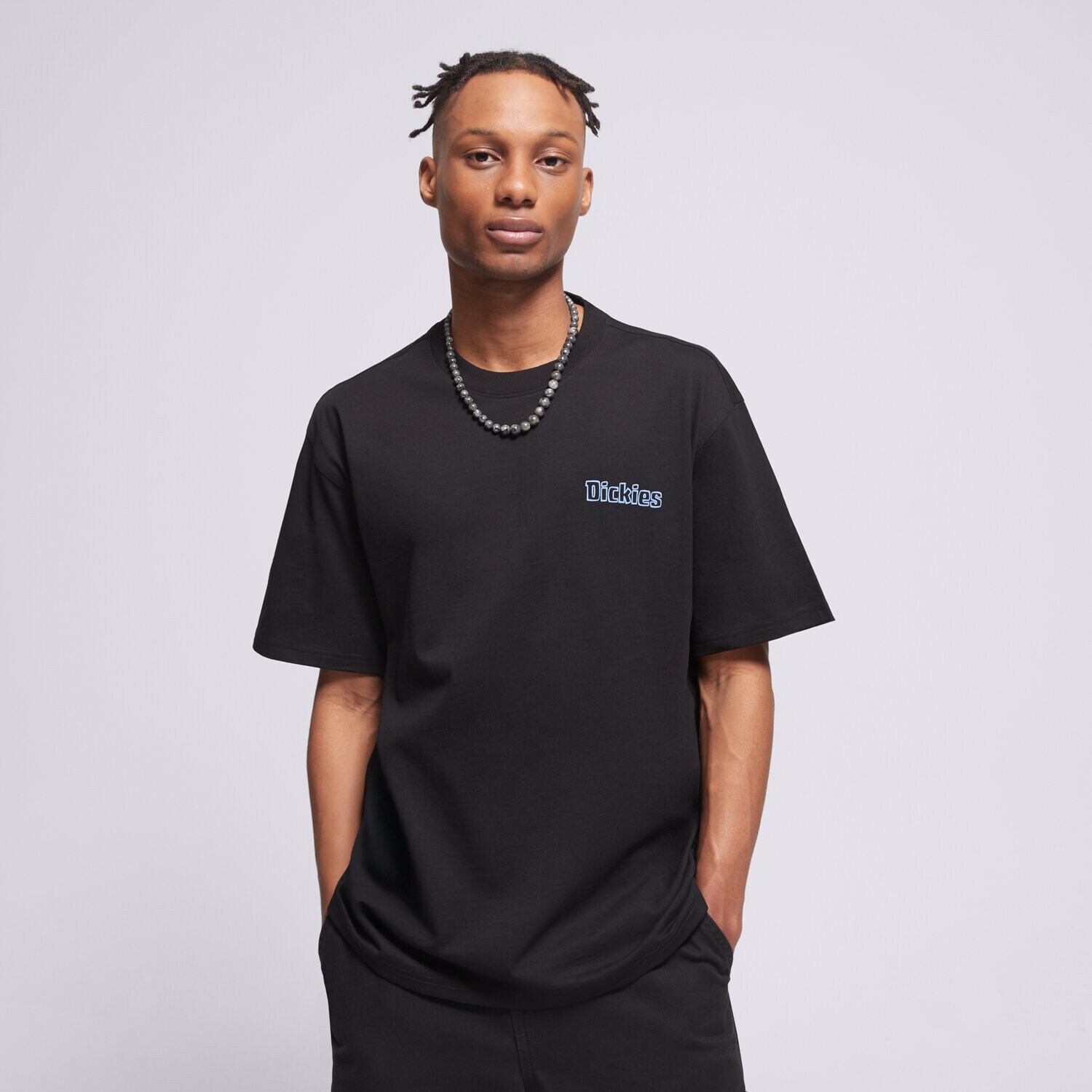 Herren T-Shirt DICKIES T-SHIRT FAIRLAWN SS TEE DK0A88GEBLK1 Schwarz