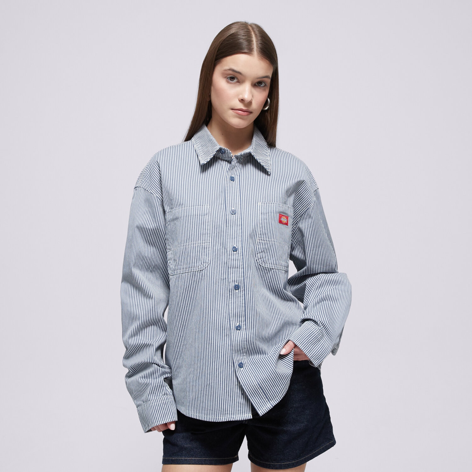 Damen T-Shirt DICKIES HICKORY WORK SHIRT LS DK0A889SRI21 Blau