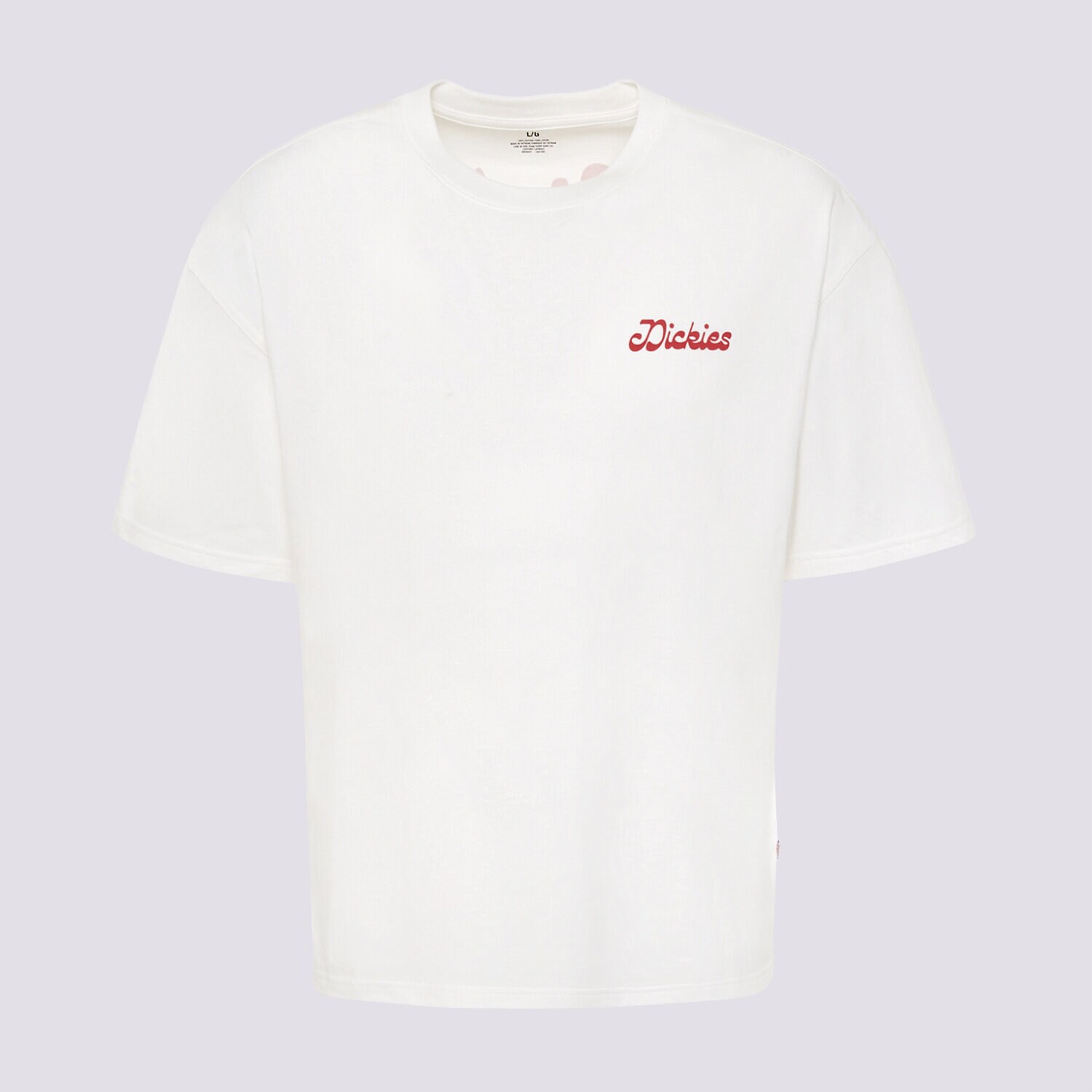 Herren T-Shirt DICKIES T-SHIRT CORNVILLE SS TEE DK0A8D3I0WH1 Weiß