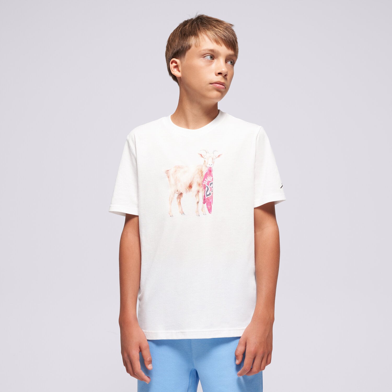 Kinder T-Shirt JORDAN T-SHIRT JDB MJ FLT GOAT SS CREW BOY 95F314-001 Weiß