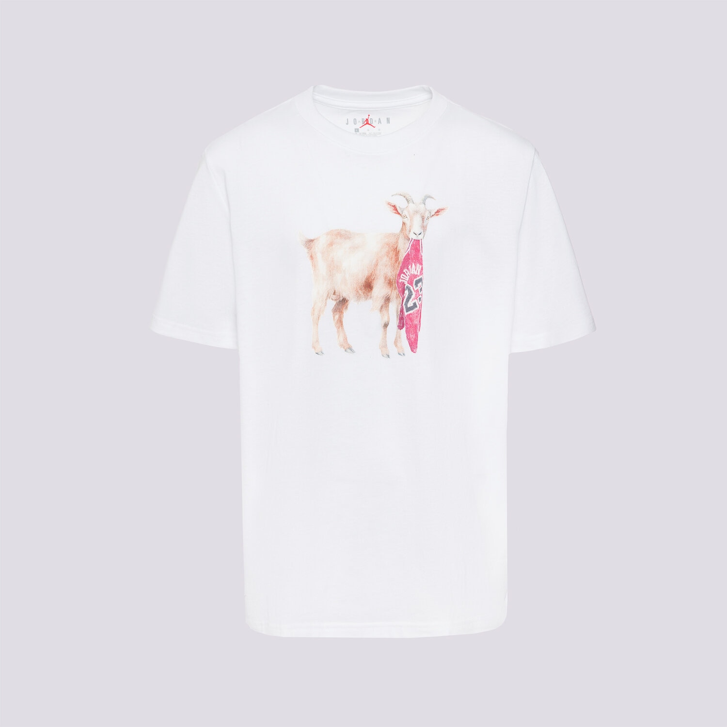 Kinder T-Shirt JORDAN T-SHIRT JDB MJ FLT GOAT SS CREW BOY 95F314-001 Weiß