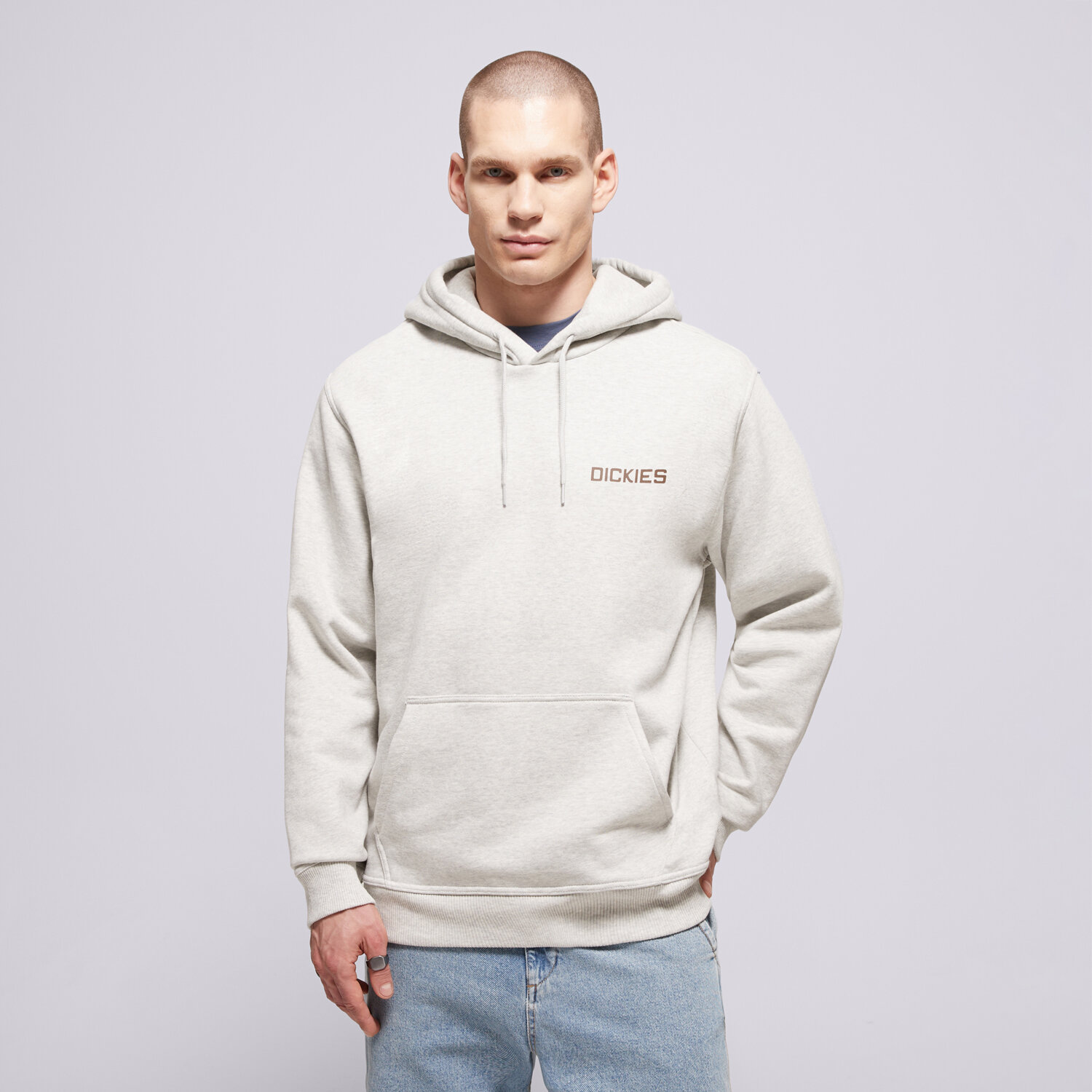 Herren DICKIES HOODIE PAYSON HOODIE DK0A88POA281 Grau