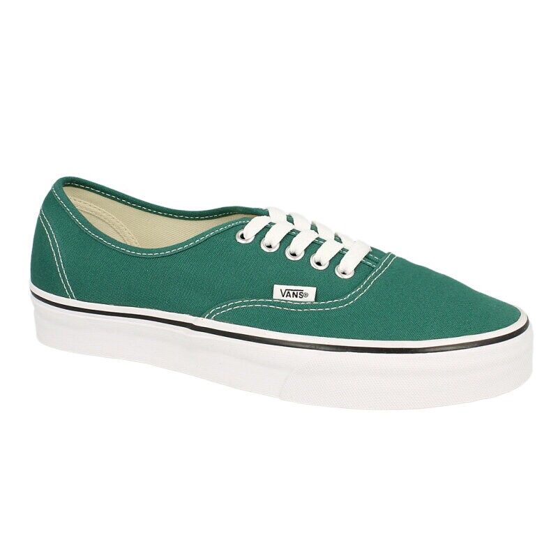 Herren Skaterschuhe VANS AUTHENTIC  VVOE4NM Grün