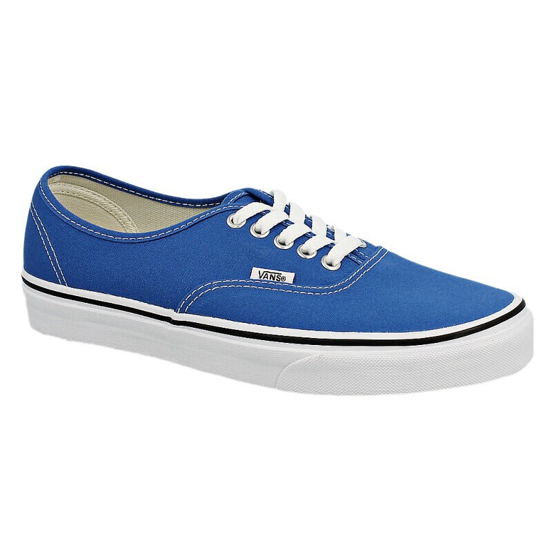 Herren Skaterschuhe VANS AUTHENTIC  VVOECG9 Blau