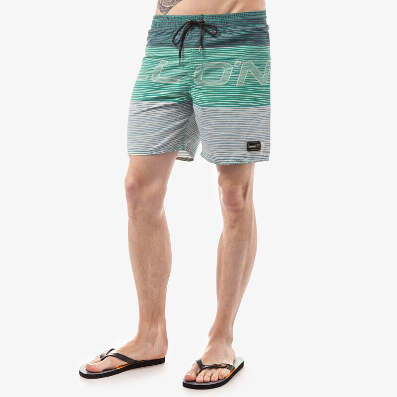 Herren Shorts O'NEILL SHORTS W. STACK 5032266900 Grün