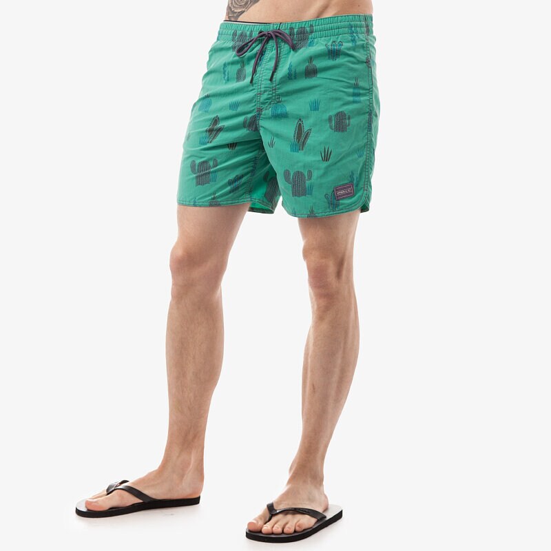 Herren Shorts O'NEILL SHORTS W. DUNE DISC 5032206900 Grün