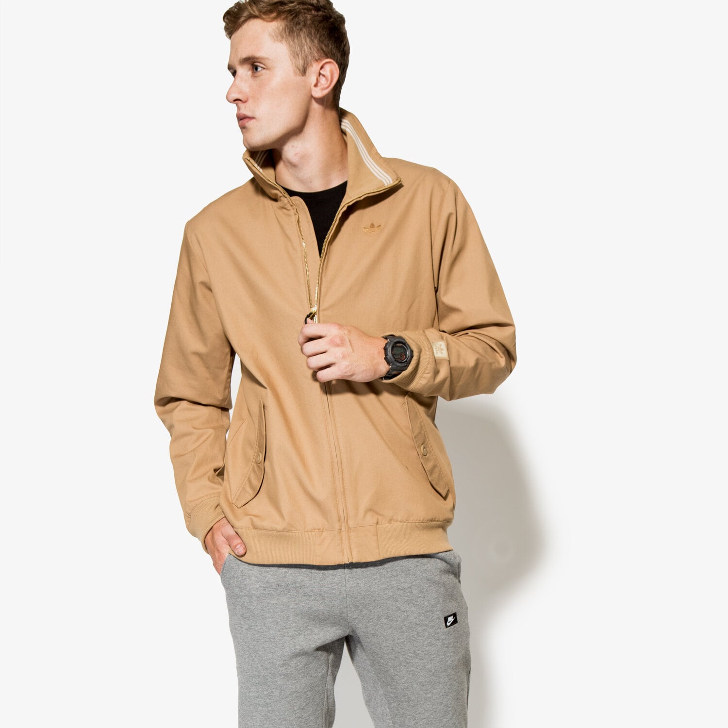 Herren Winterjacke ADIDAS JACKE UP NORTH JACKET AY8741 Beige