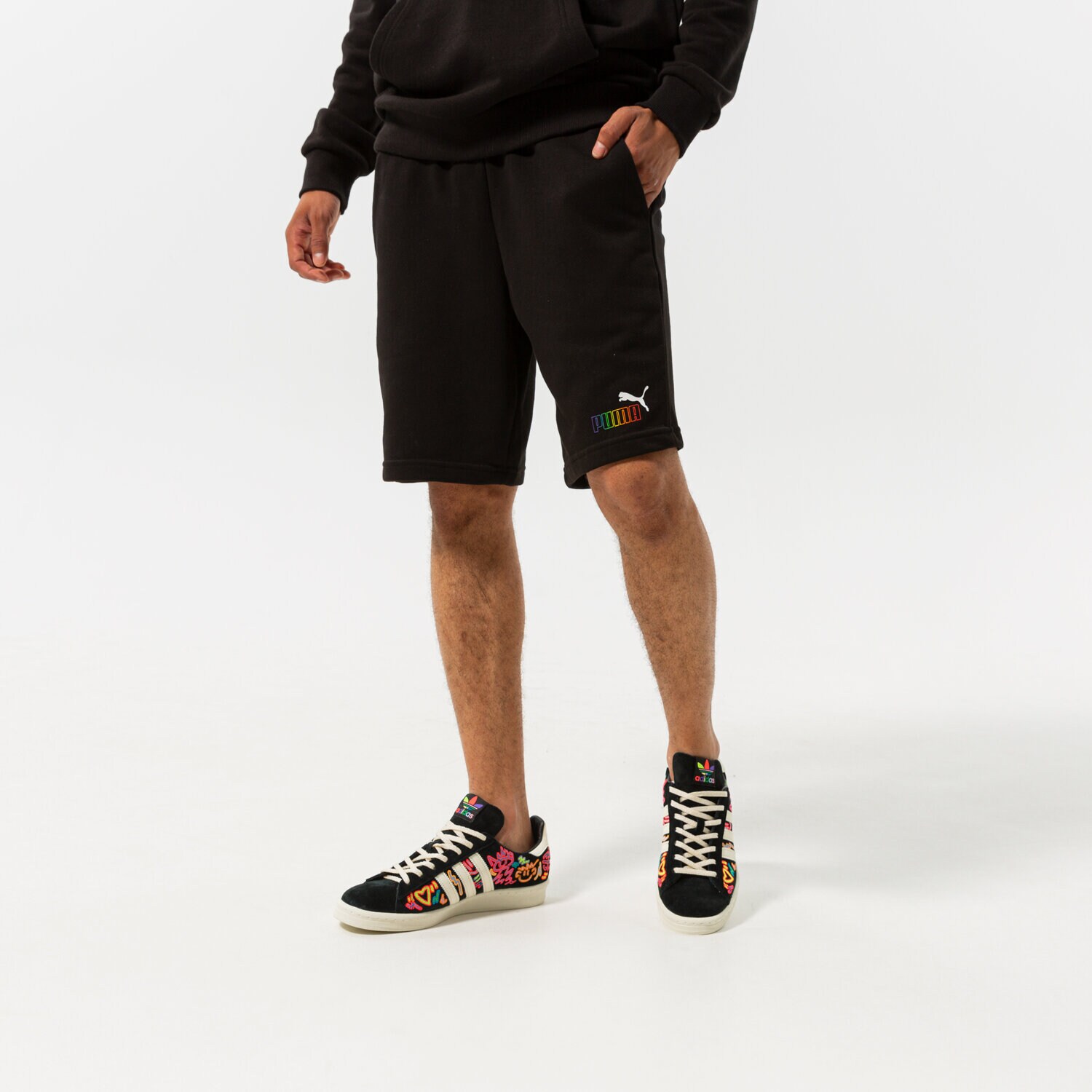 Herren Shorts PUMA SHORTS ESS+ RAINBOW SWEAT SHORTS 9" TR 848679 01 Schwarz