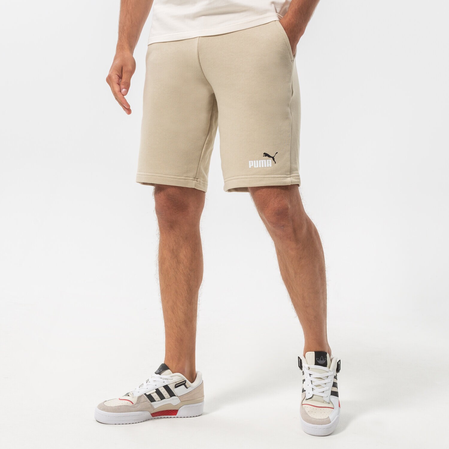 Herren Shorts PUMA SHORTS ESS+ 2 COL SHORTS 10" 586766 64 Beige
