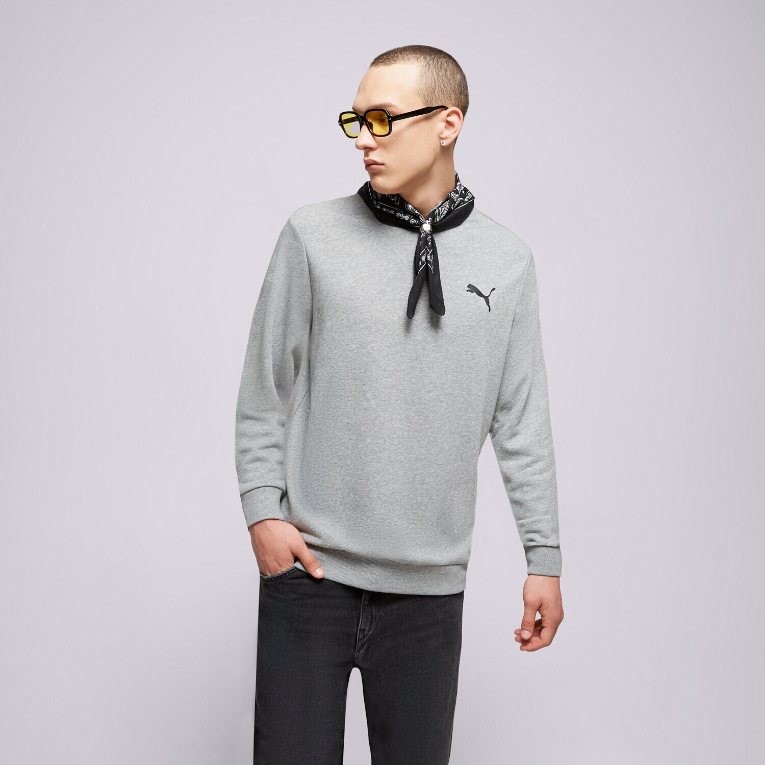 Herren PUMA SWEATSHIRT ESS SMALL LOGO CREW TR 58668453 Grau