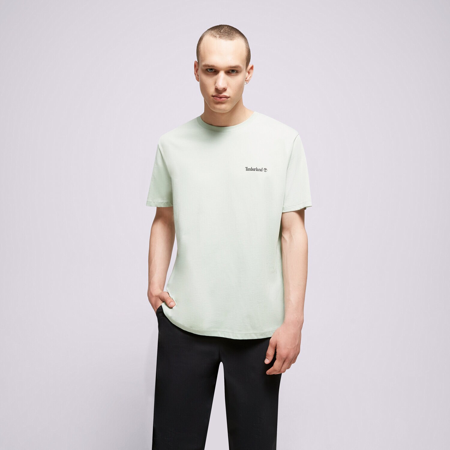 Herren T-Shirt TIMBERLAND T-SHIRT SMALL LOGO PRINT LOGO TEE TB0A5PGZQ431 mintgrün