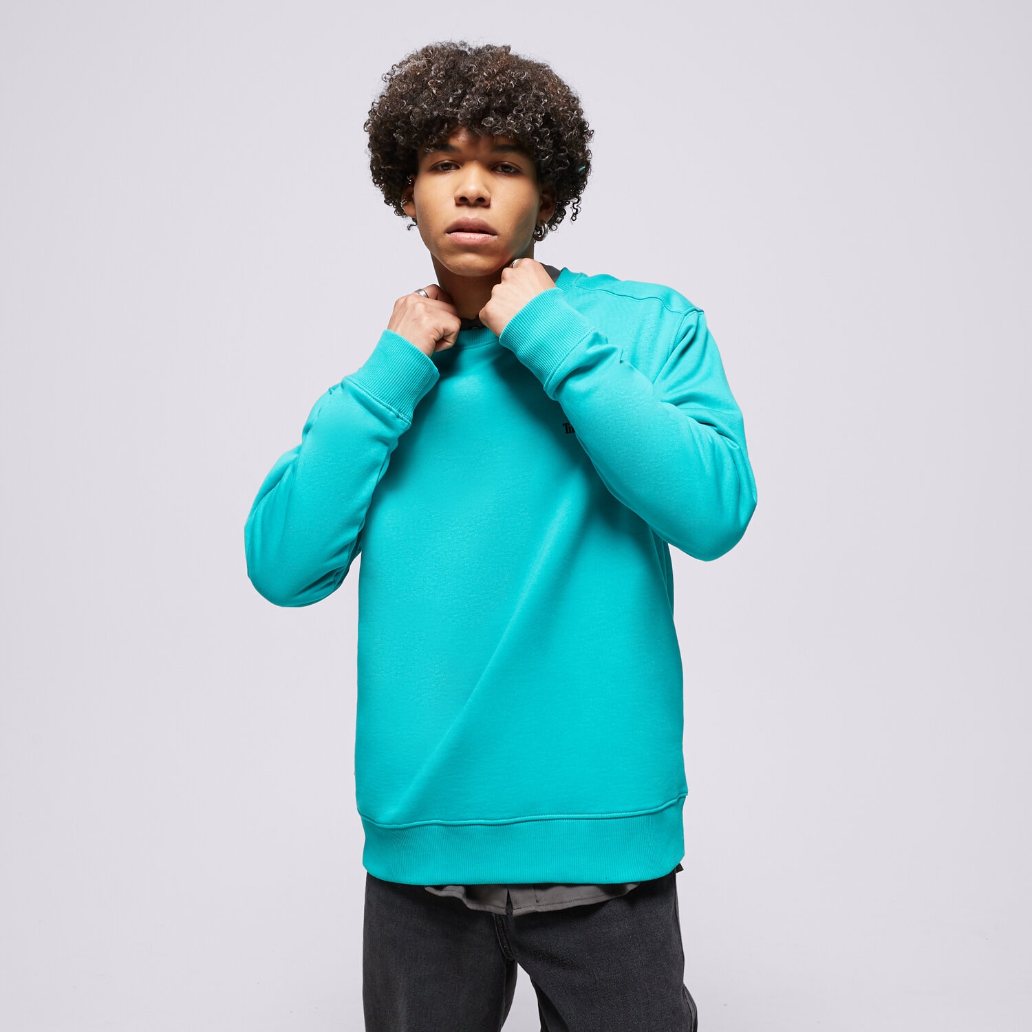 Herren TIMBERLAND SWEATSHIRT SMALL LOGO PRINT TB0A5PDVE341 Blau
